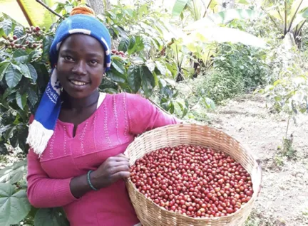 The Journey of Ethiopian Coffee — From Farm to Cup