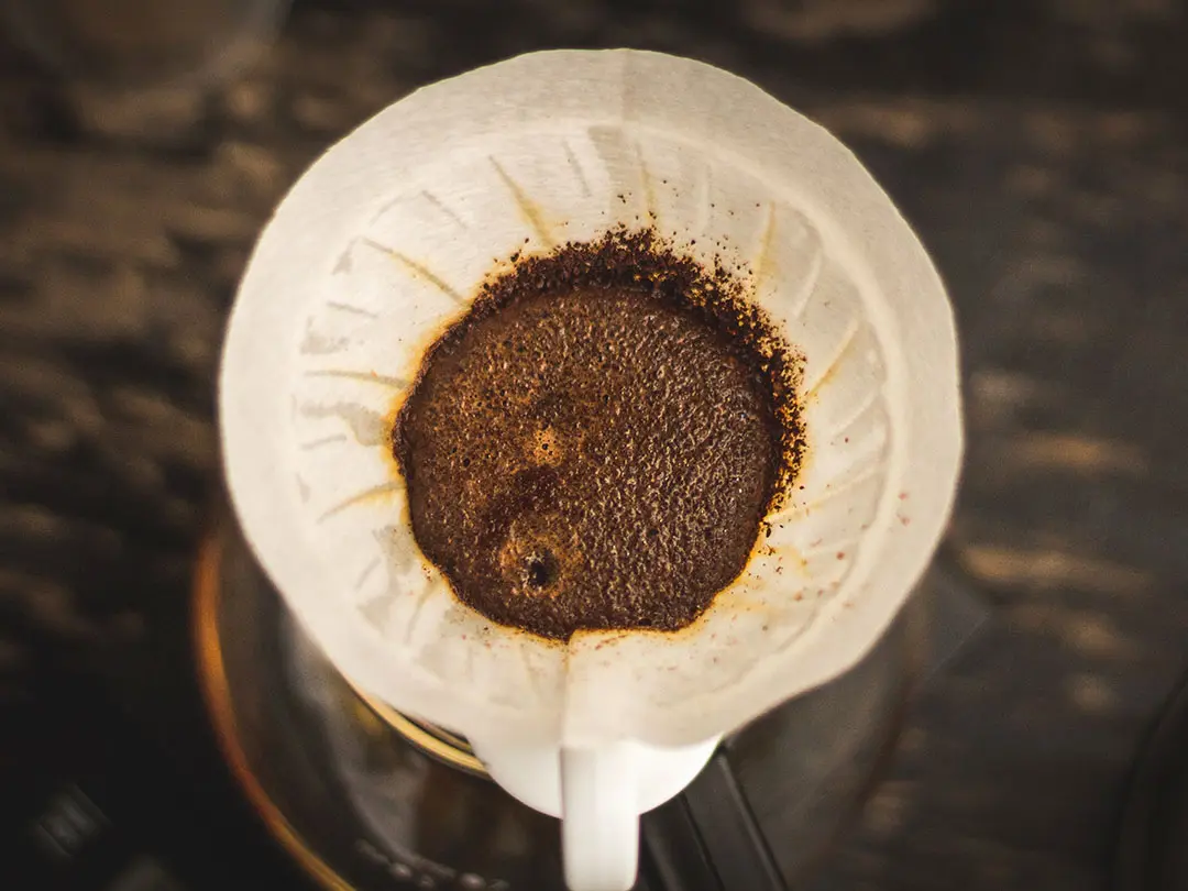 Brewing the Perfect Cup of Ethiopian Coffee at Home